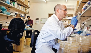 Israeli researchers develop substance that attacks antibiotic-resistant germs
